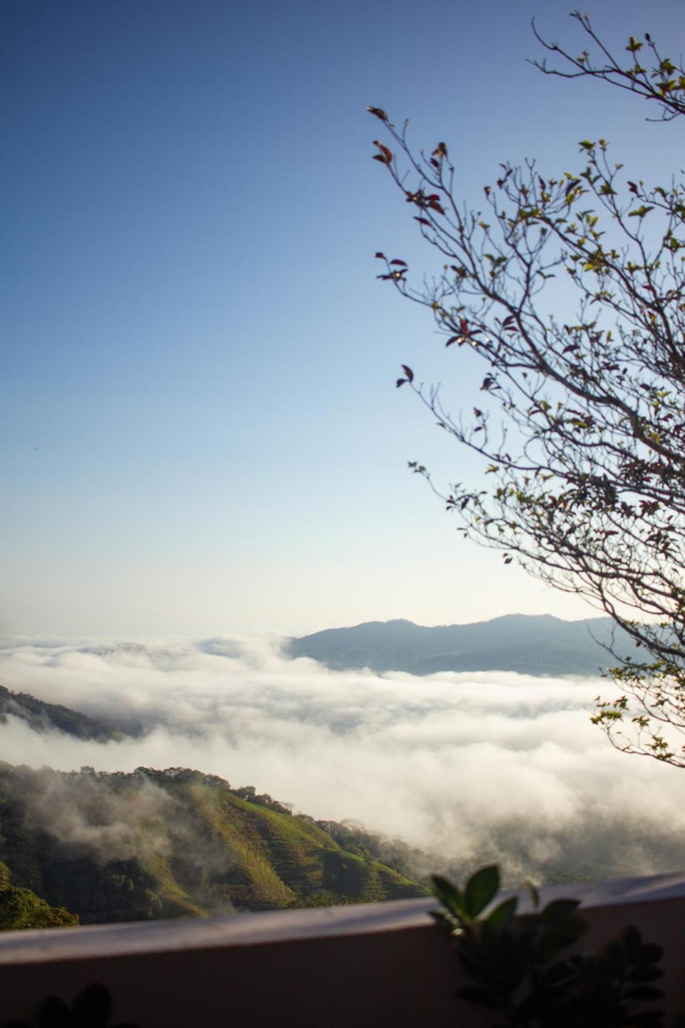 Nosara Hideaway 2 - Breakfast Included & Mountain View Cabins 니코야 외부 사진